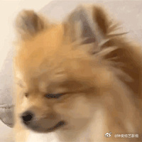 #汉堡的祖宗是肉夹馍吗#每当品尝到肉夹馍，那熟悉的味道总能让人回想起家乡的美好。