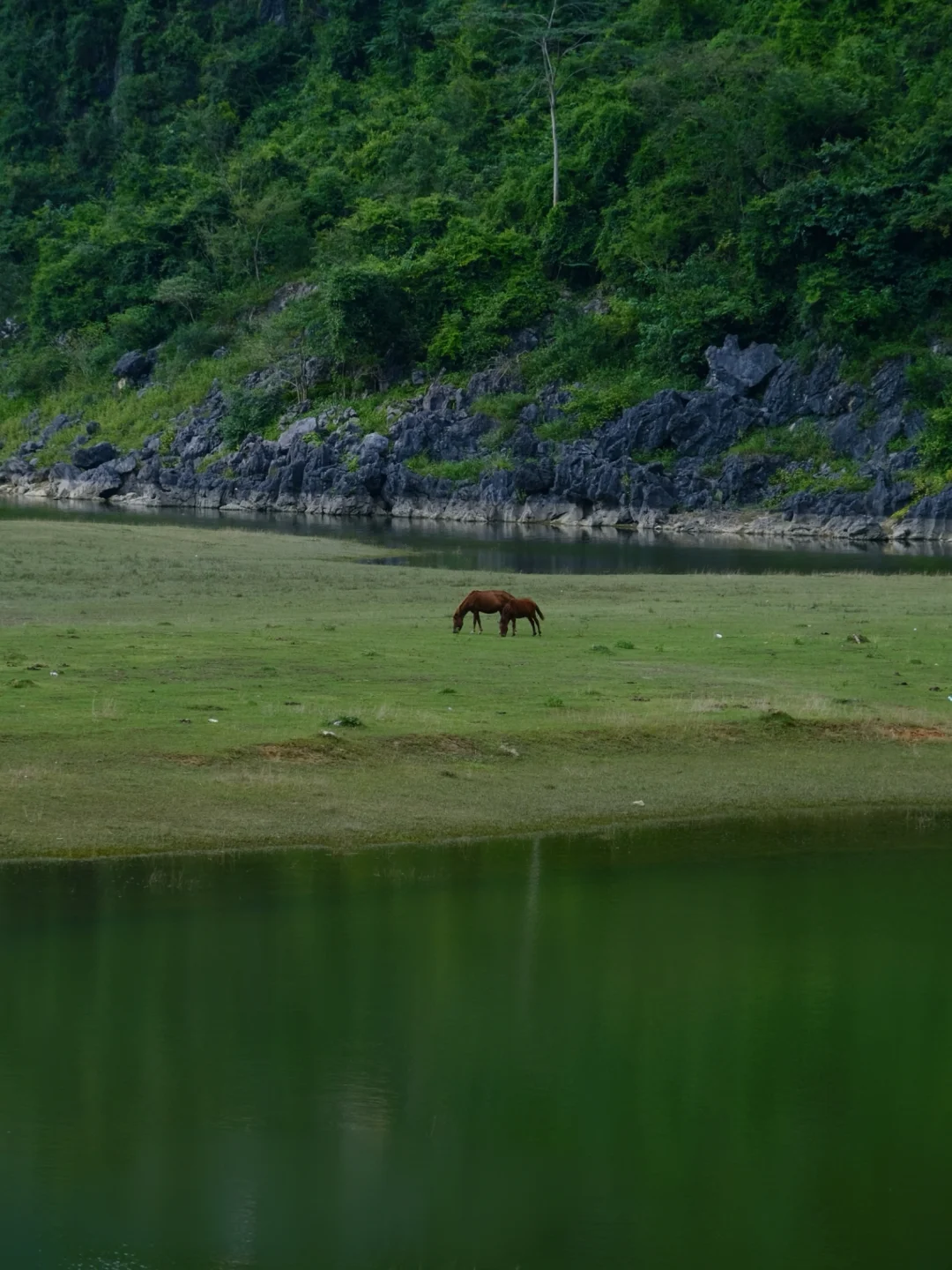 这是我今年走过最美的徒步路线！