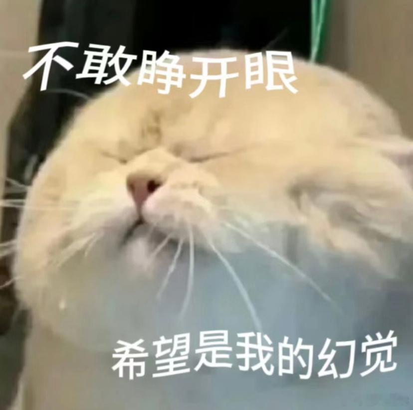 甲亢哥遭阿根廷球迷辱骂第一次看世界杯，感觉他们的观众有种跟别人不一样的感觉即使面