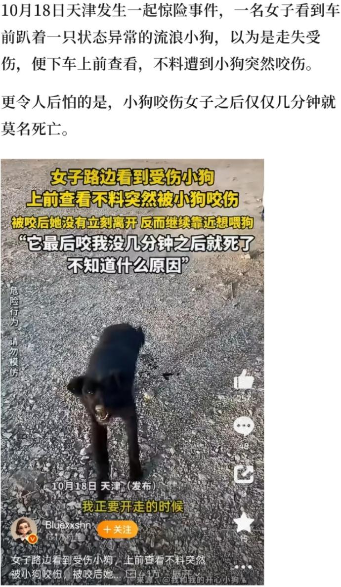 2026年10月18日，天津。女子发现车前趴着一只状态异常的流浪小狗，以为是与主