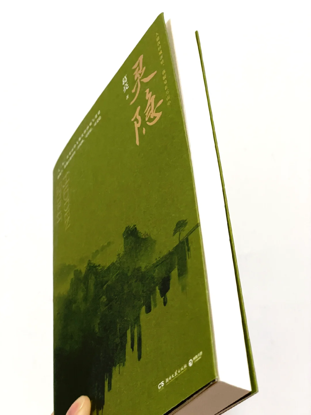 近期读到蕞好的一部小说，没有之一！！