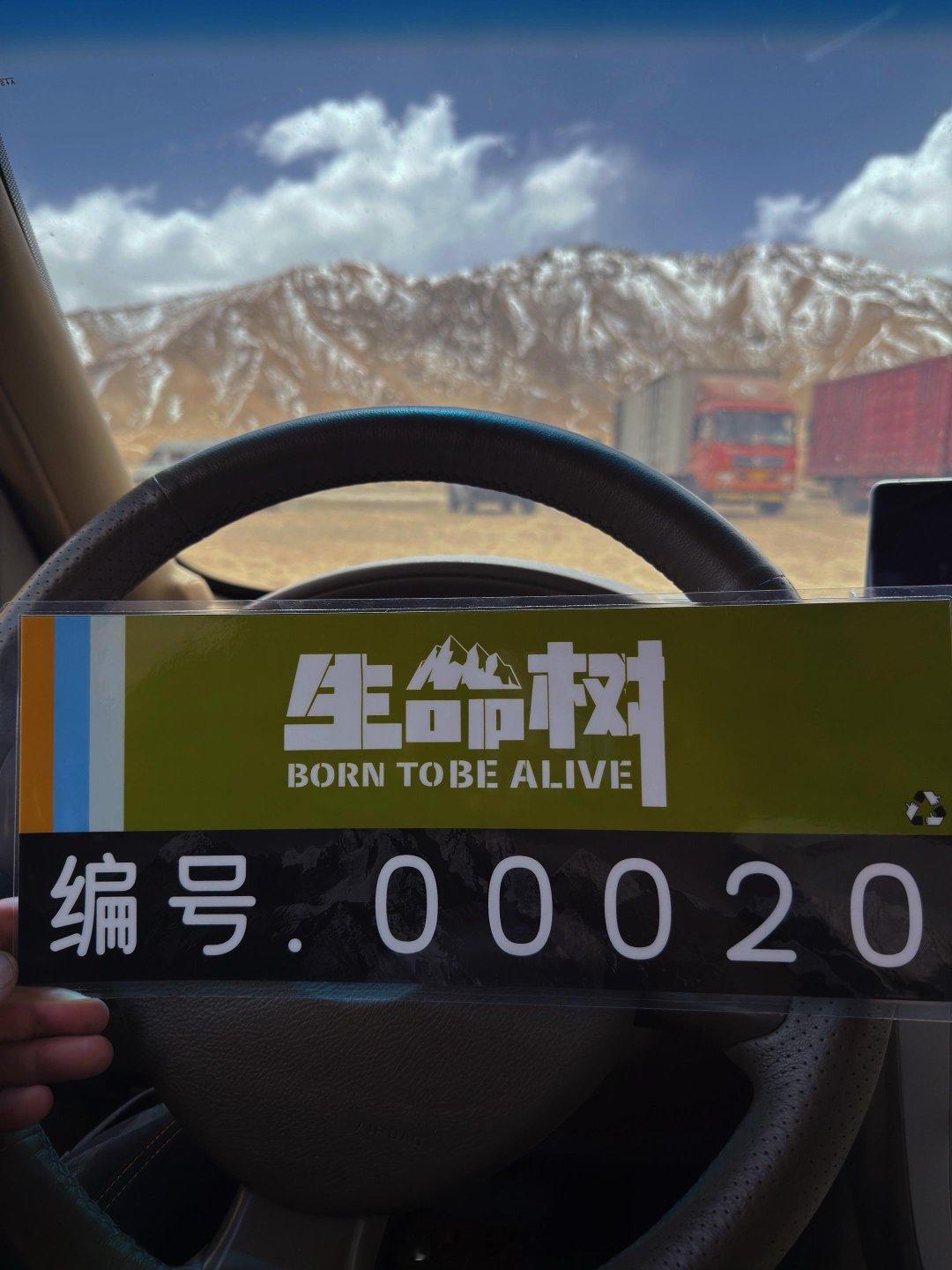 杨紫胡歌新剧亦师亦友杨紫胡歌生命树置景路透，已开拍了[努力]！ ！！ ​​​
