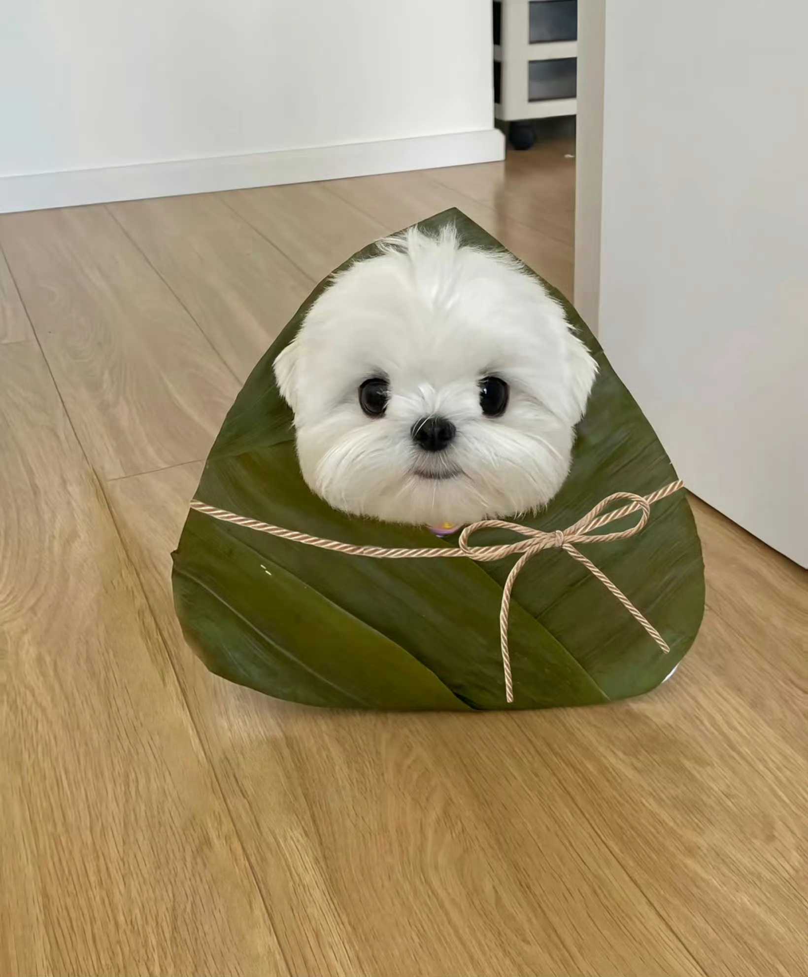 端午节快乐 