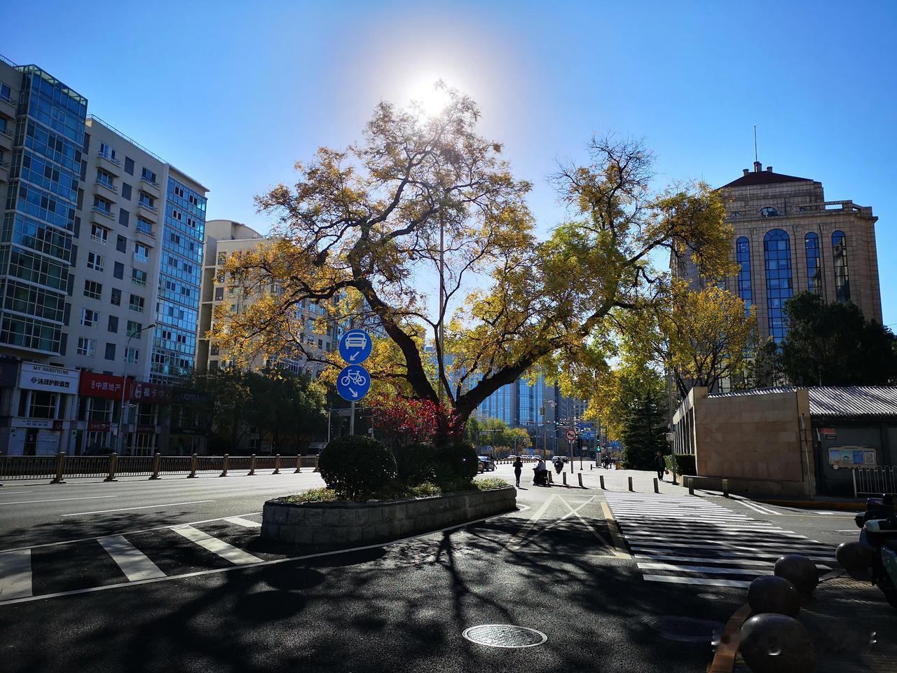 打卡
随意更好
二环内可去的地方太多
骑着车自由而不自由
不宜进景区
还是小黄车