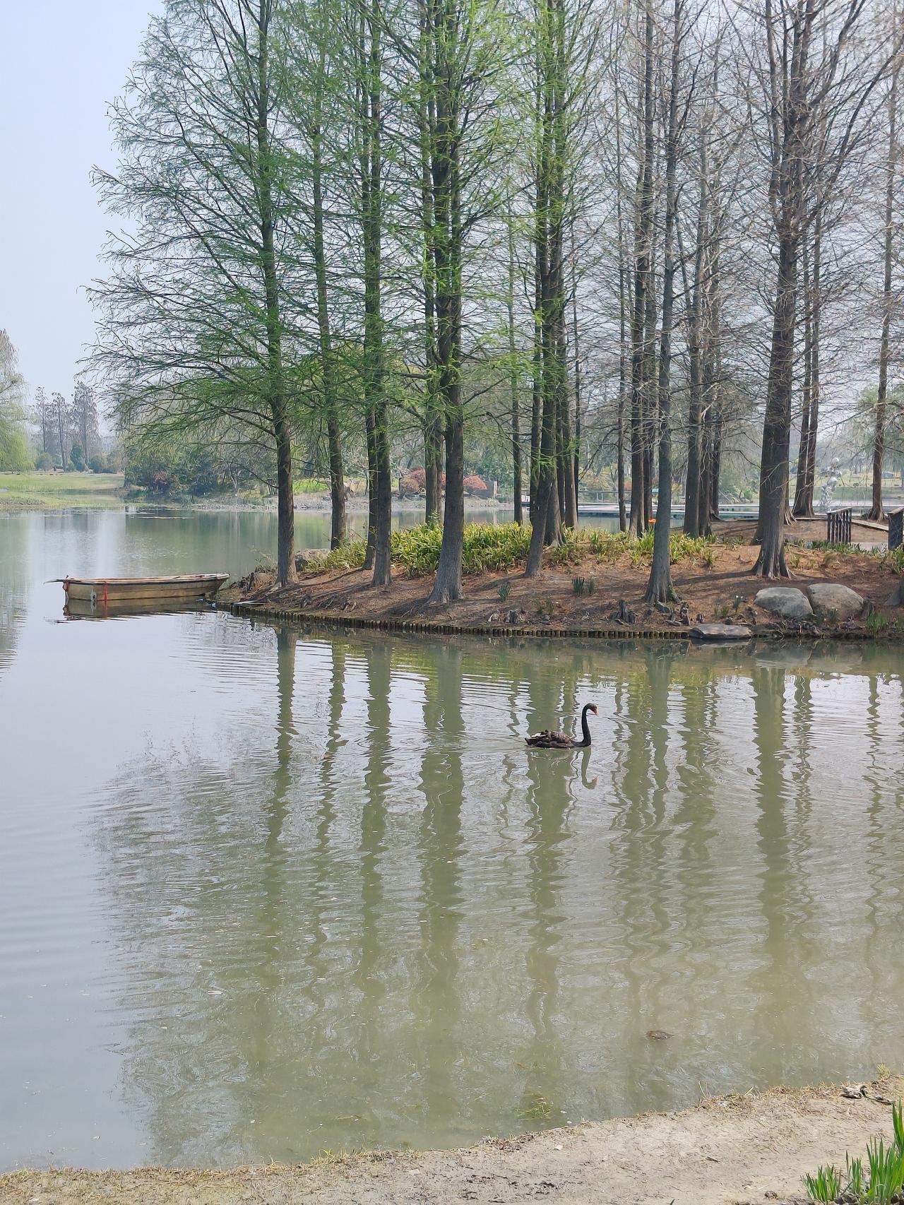 医生看病历来是凭借经验，可是研究发现经验导致误诊误治，出现错误诊疗后然后再调整治