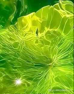 🍃阳光信用 🍃每日一善 在心里种花，人生才不会荒芜。 豁达的人，心里种满阳光