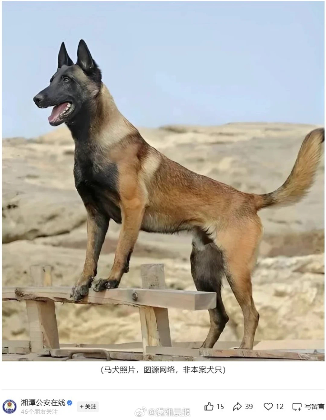 【#男子带狗进KTV不栓绳4人咬伤送医#，#男子带狗进KTV不栓绳咬伤人拘留7天