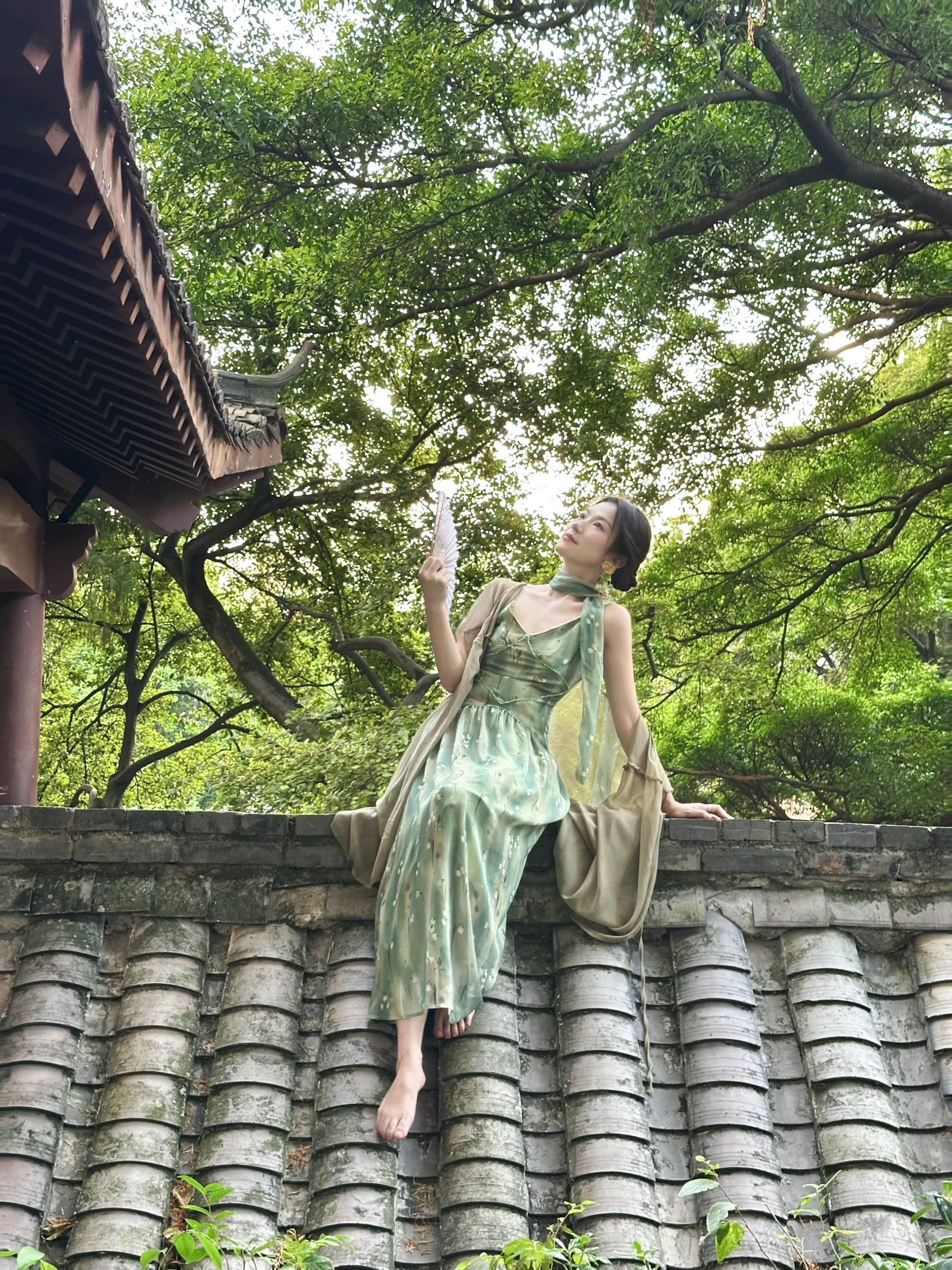赣州公园 古树
