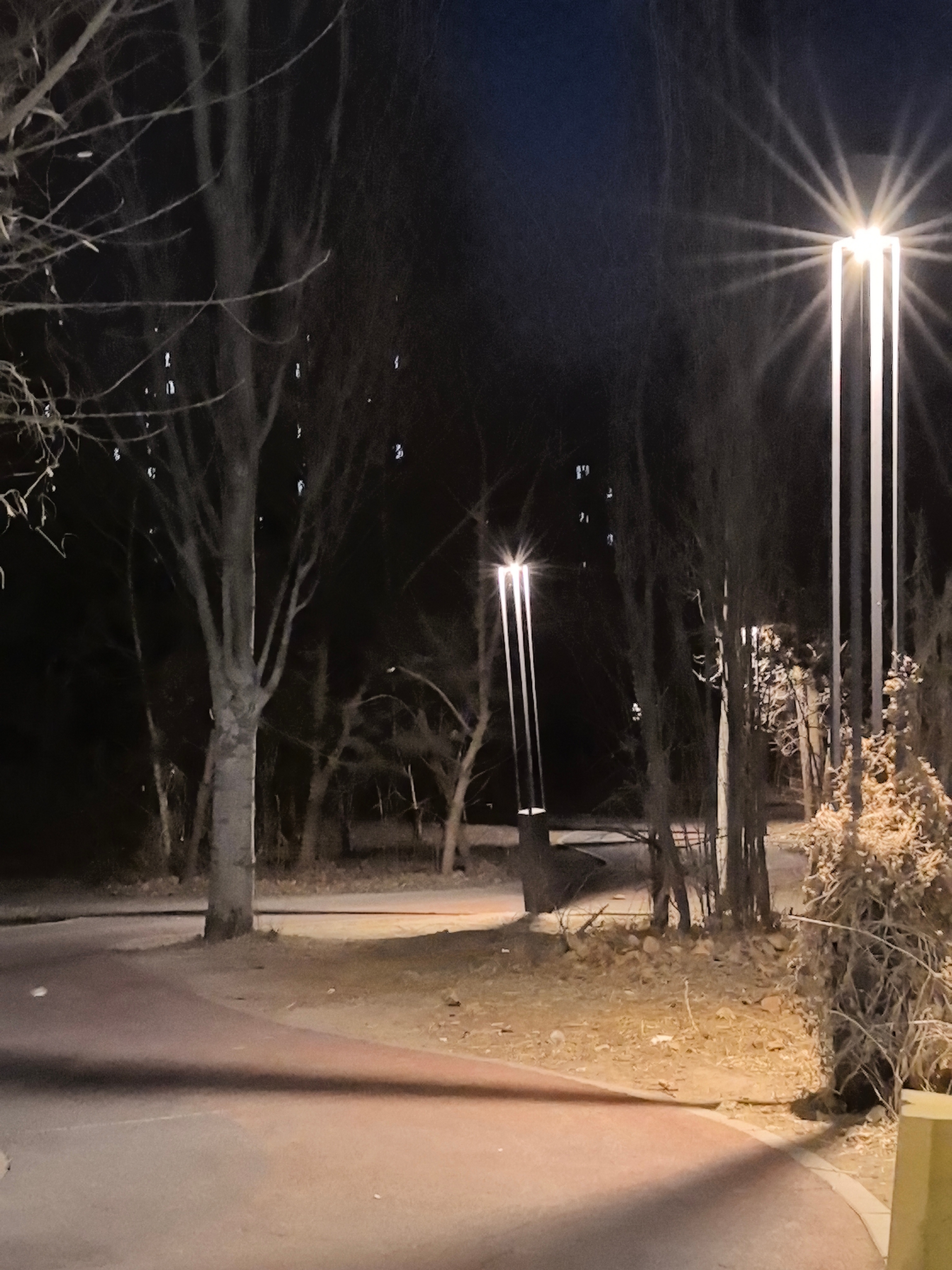 晚安 晚饭过后被俩娃要求出去遛弯，纠结得多冷真心不想出去，但是还是屈服了，出来还