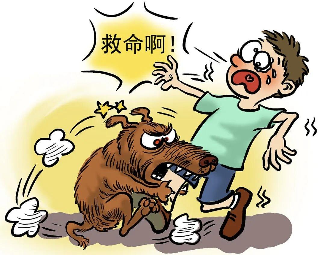 狗会咬自己的主人吗虽然概率不大，但情绪不对劲时，真的可能会下嘴咬。不然老祖宗咋能