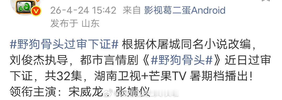 宋威龙张婧仪《野狗骨头》过审下证了 