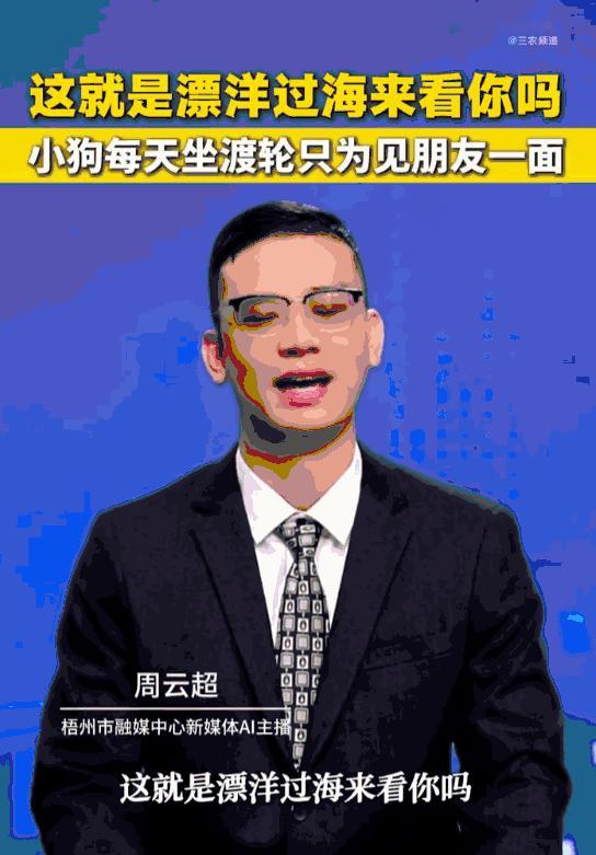 天下之大无奇不有！湖北荆州，一只小黑狗，为了能天天和长江对岸的“好哥们”相聚，竟