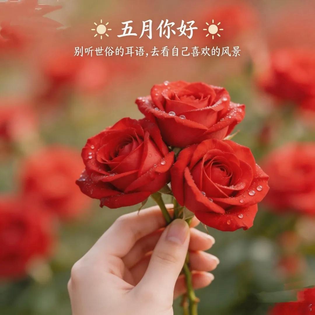打卡5月第一天四月落幕，五月上新， 旧月好好告别，新月温柔相待。 风与晨辉，五月