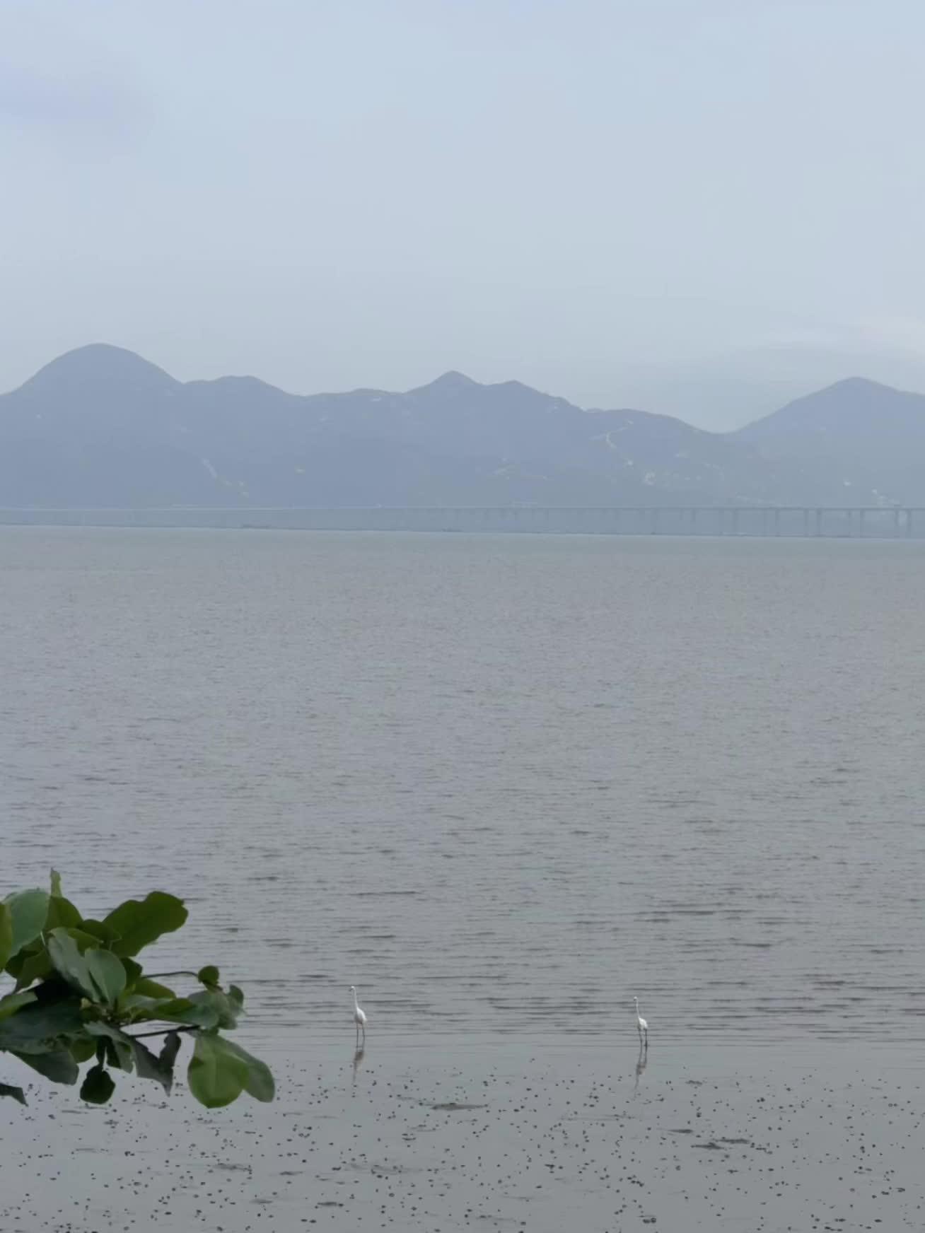 那么近 又那么远