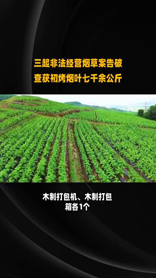 三起非法经营烟草案告破，查获初烤烟叶七千余公斤。
3人被抓，涉案25.64万元。