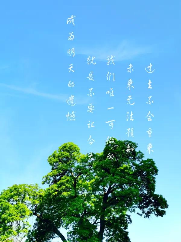 生活中总需要一些正能量语录来激励自己。“人生是坎坷的，人生是崎岖的。只有珍惜今天