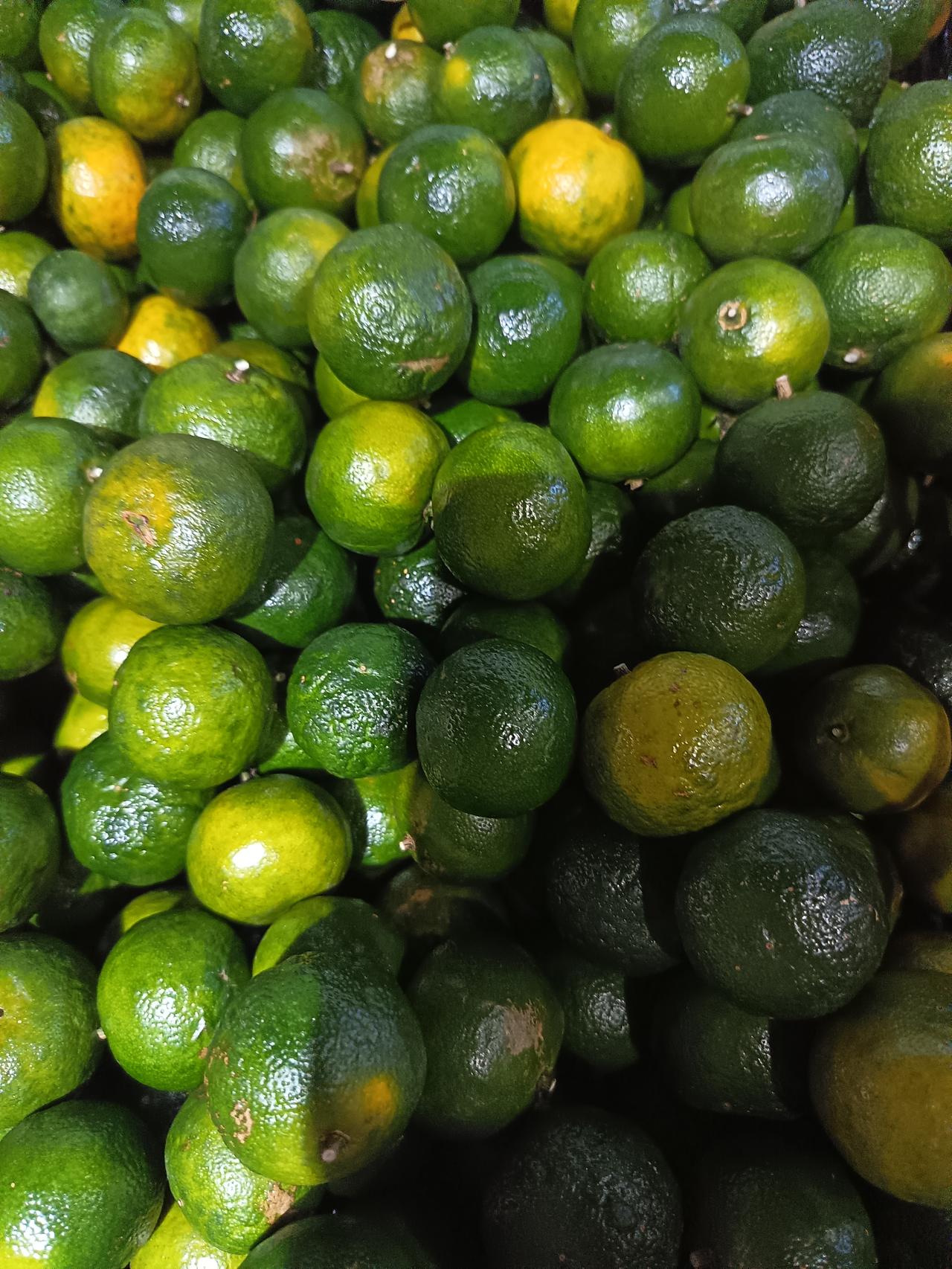 这小东西别看个头迷你，往茶里挤两滴汁儿，那股清甜味儿立马就窜出来了，喝啥都觉得鲜