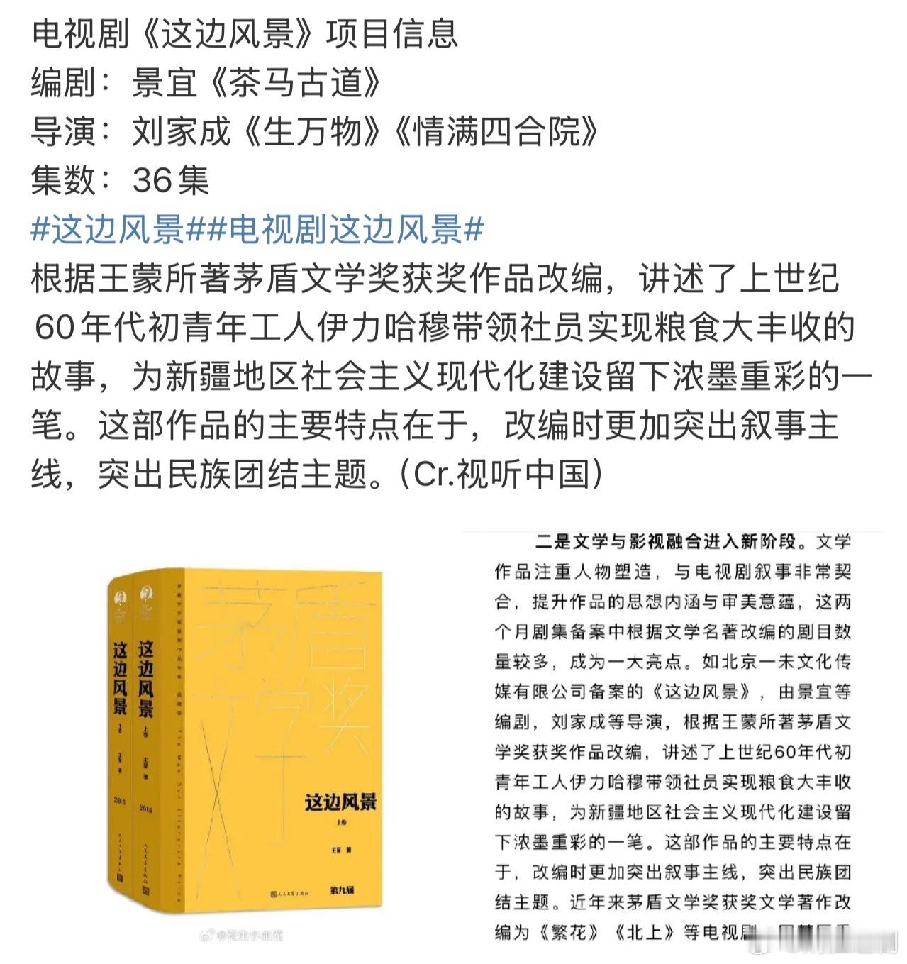 刘家成导演的电视剧《这边风景》项目在推进了，正剧来着，男演员目前接触黄轩、白宇，