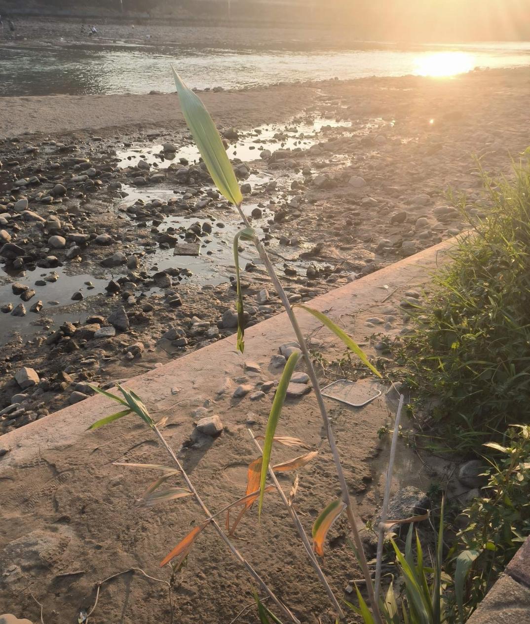 为什么现在的年轻人动不动就辞职呢？
因为他们的身体都不好，
上不了班
因为他们的