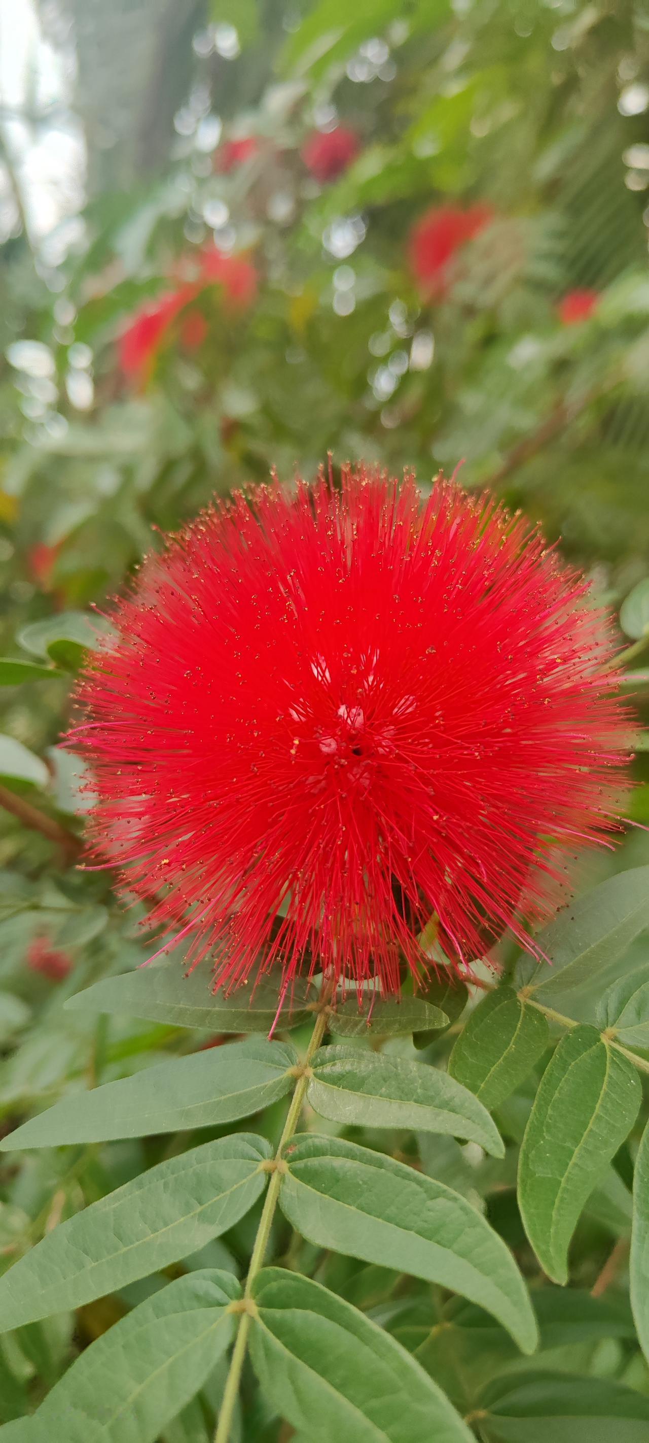 有些人建议取消物业，你认同吗
 我并不认同取消物业。为何这么说呢？
要是没了物业