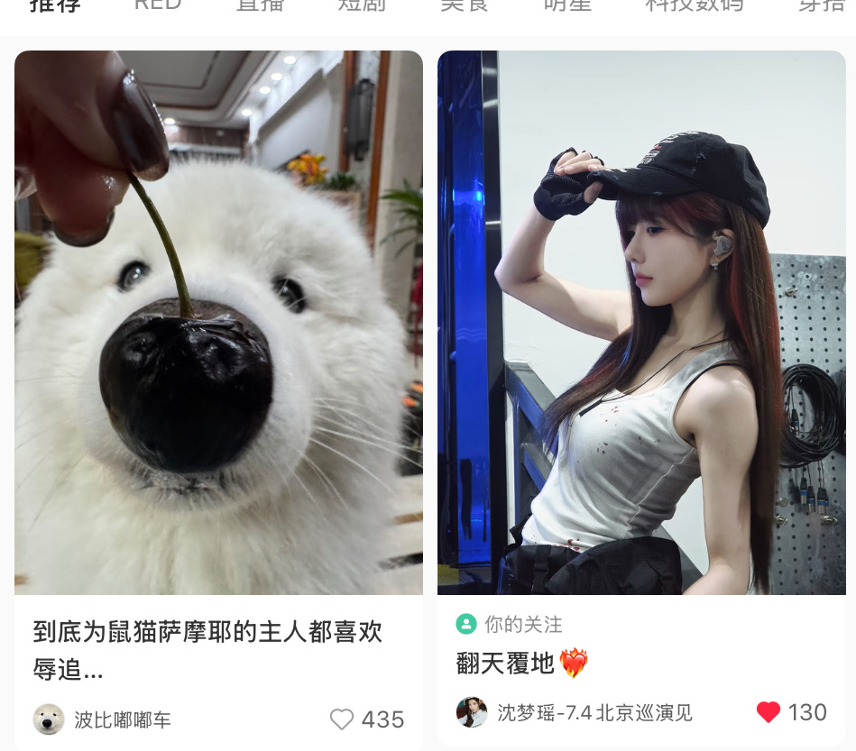 打开红薯被排版笑毁了 