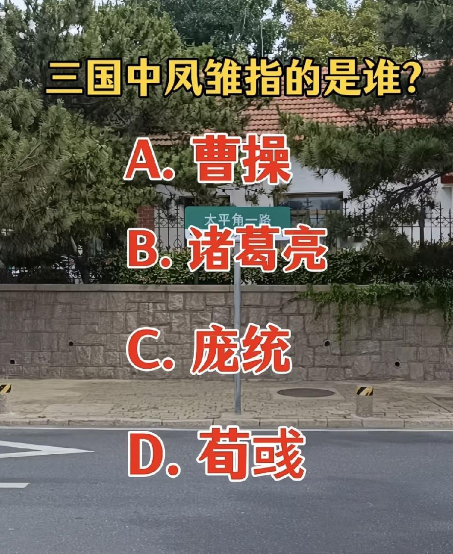 今日成语分享三国小考题：“凤雏”指的是谁？很多人都选成诸葛亮