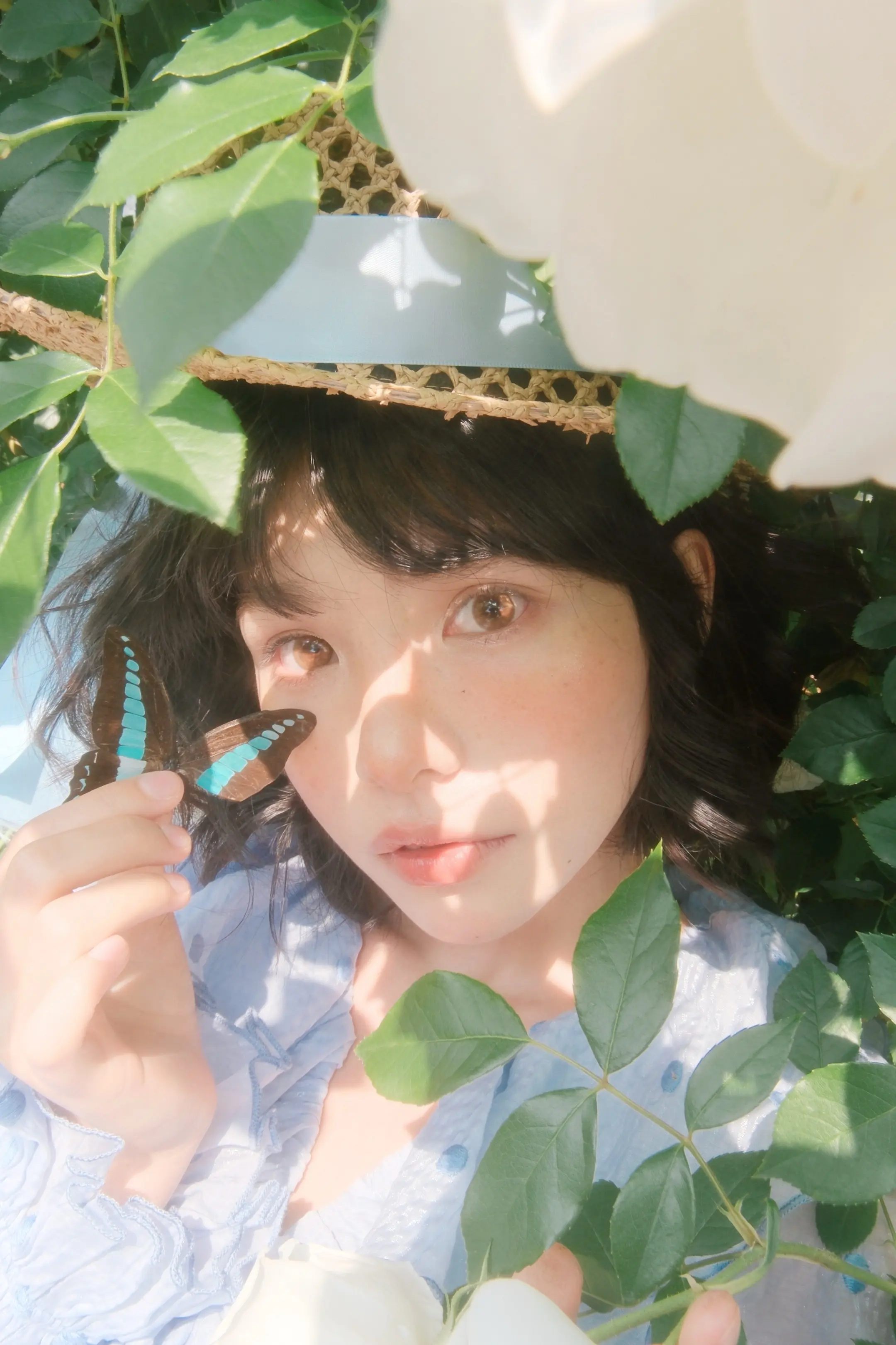 蝴蝶扇动翅膀与自由共振🦋。