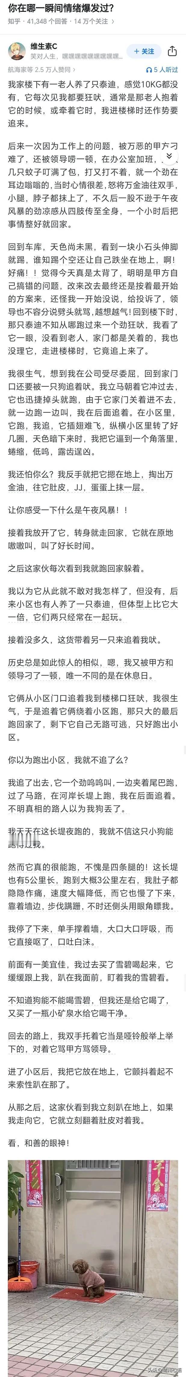 你在哪一瞬间情绪崩溃过？

不好意思，我边看边笑是不是不太礼貌？哈哈，实在是太好