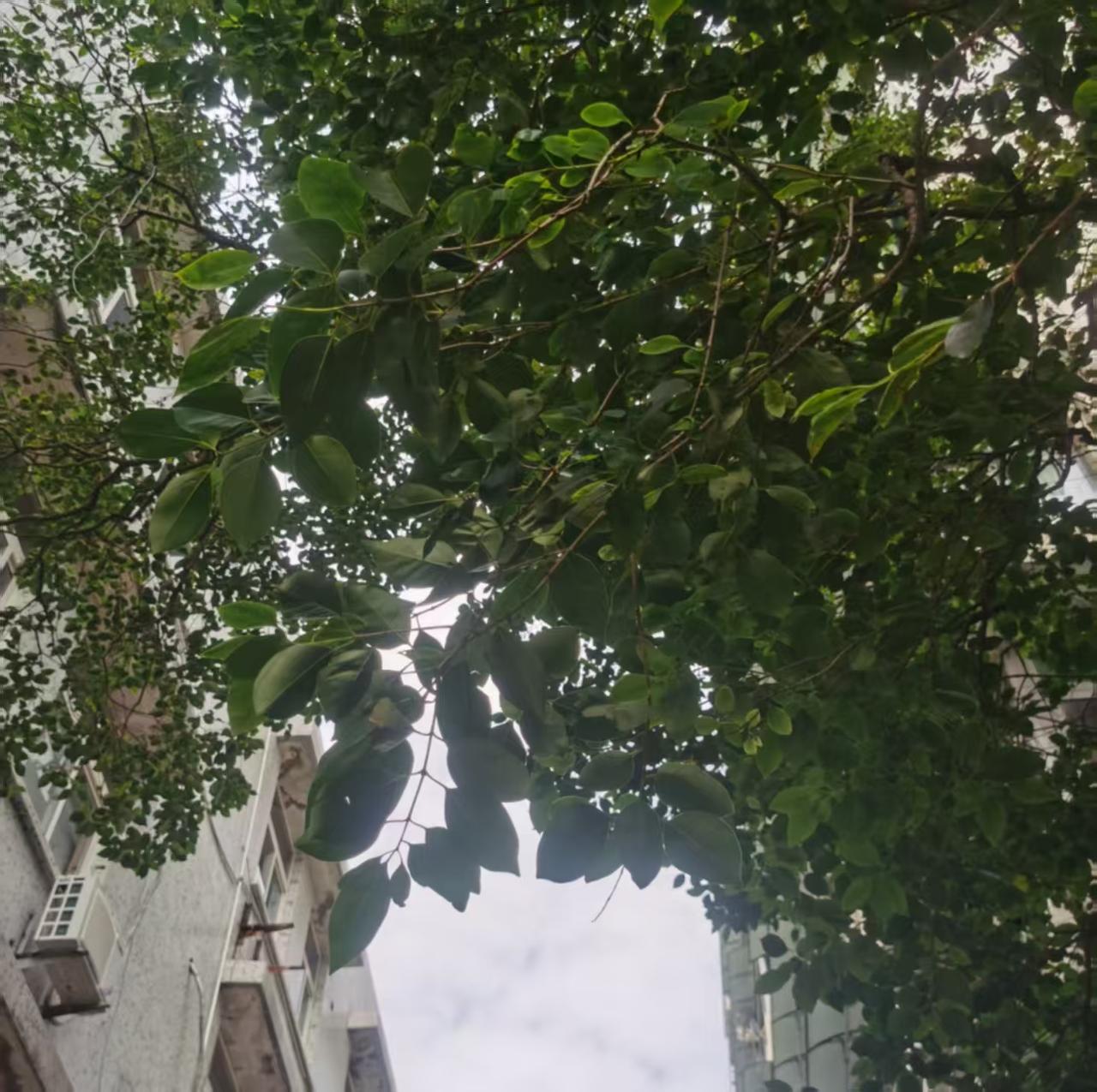 想得太多，失望就大了。

你知道，我的退休工资是多少么？熟人说。我真的没想到只有