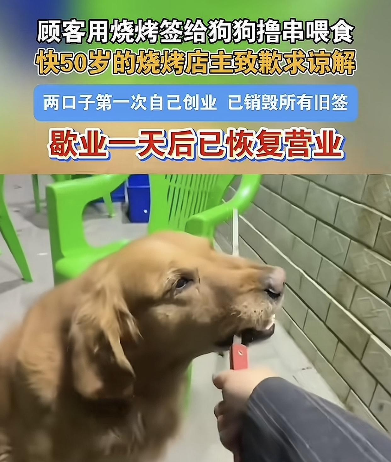 风向不太对，赤峰一位顾客带金毛犬进烧烤店吃饭，不但用脚踩着让狗撸串，还拍下来发到