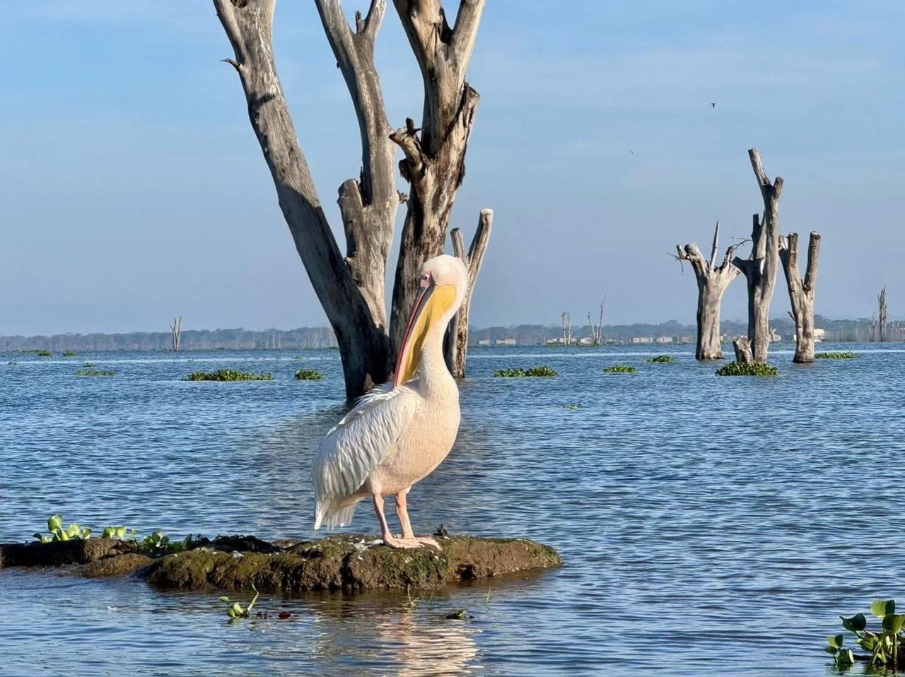 旅行换个角度看世界