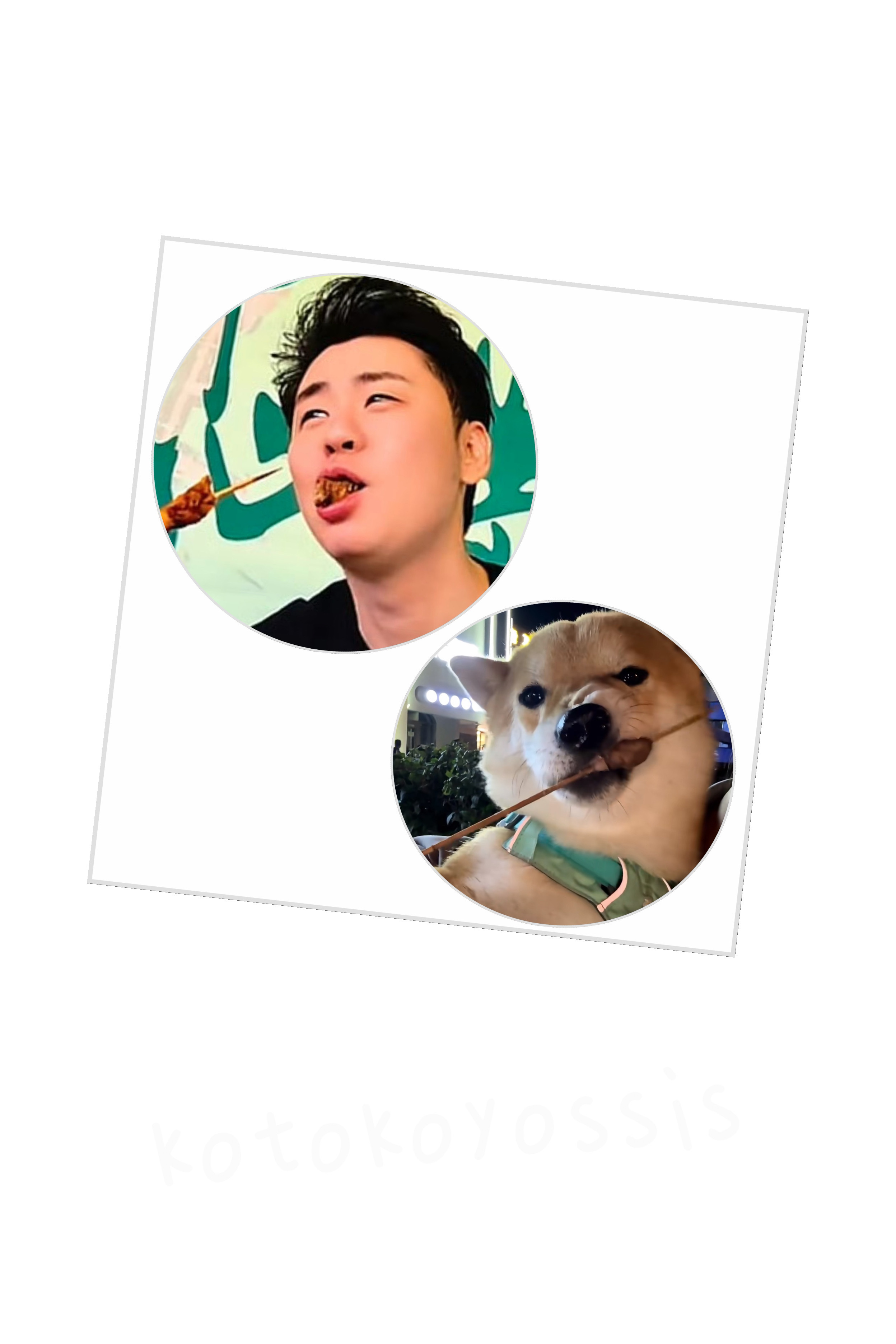 家狗爱撸串儿 