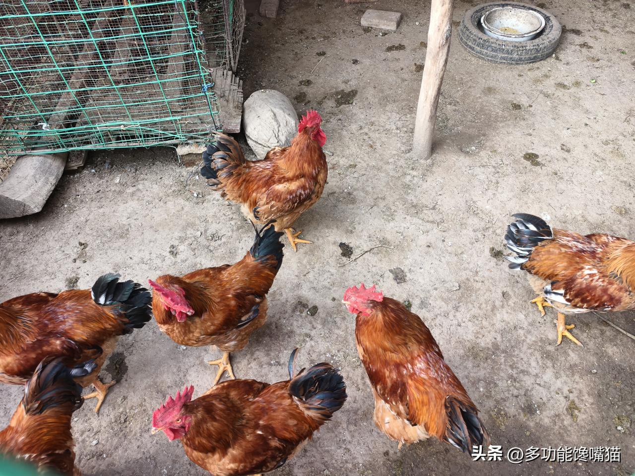 秋日生活打卡季 地标山西偏关尚峪小村，如今农村里人不多了，除了道路比以前宽阔平坦