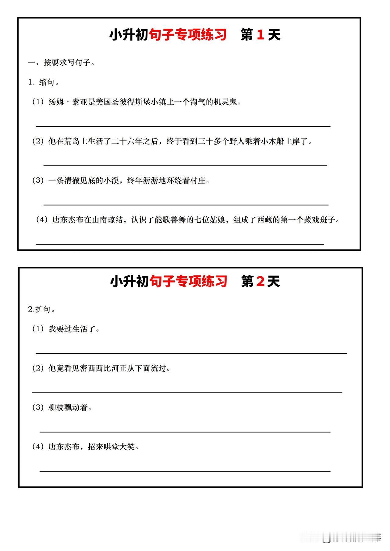 小升初句子专项练习13天（带解析）