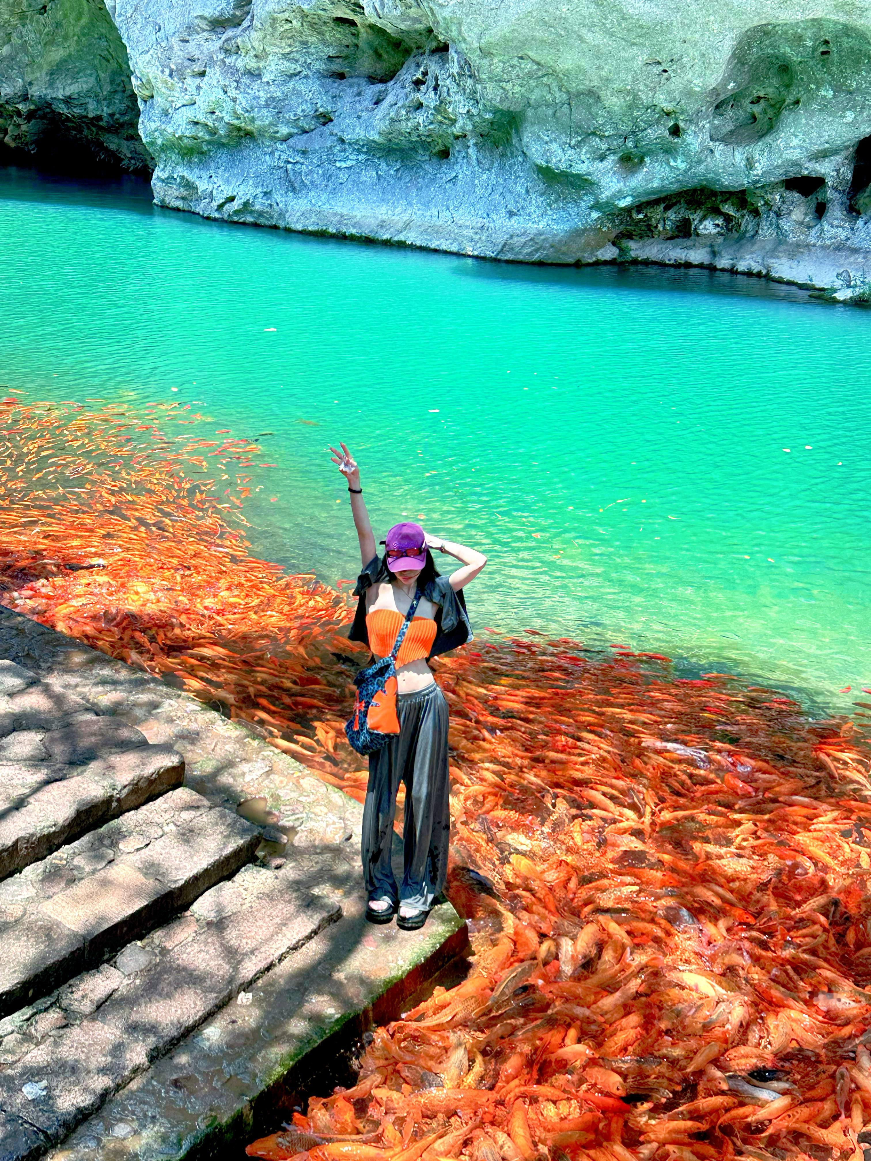 一池錦鯉 一世好運ian日常  ​​​