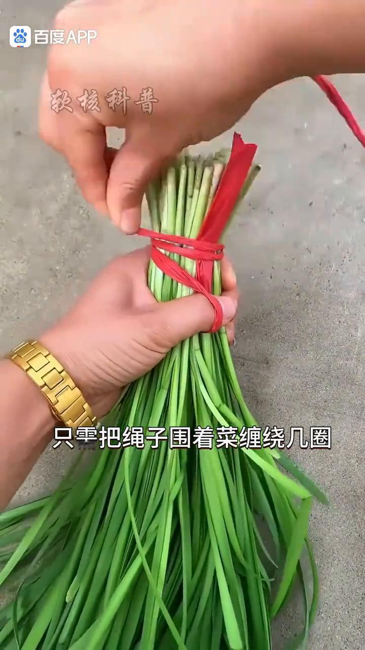 软核科普。
今天带大家学习几款简单实用的绳结。
·这是捆菜结，只需把绳子围着菜缠