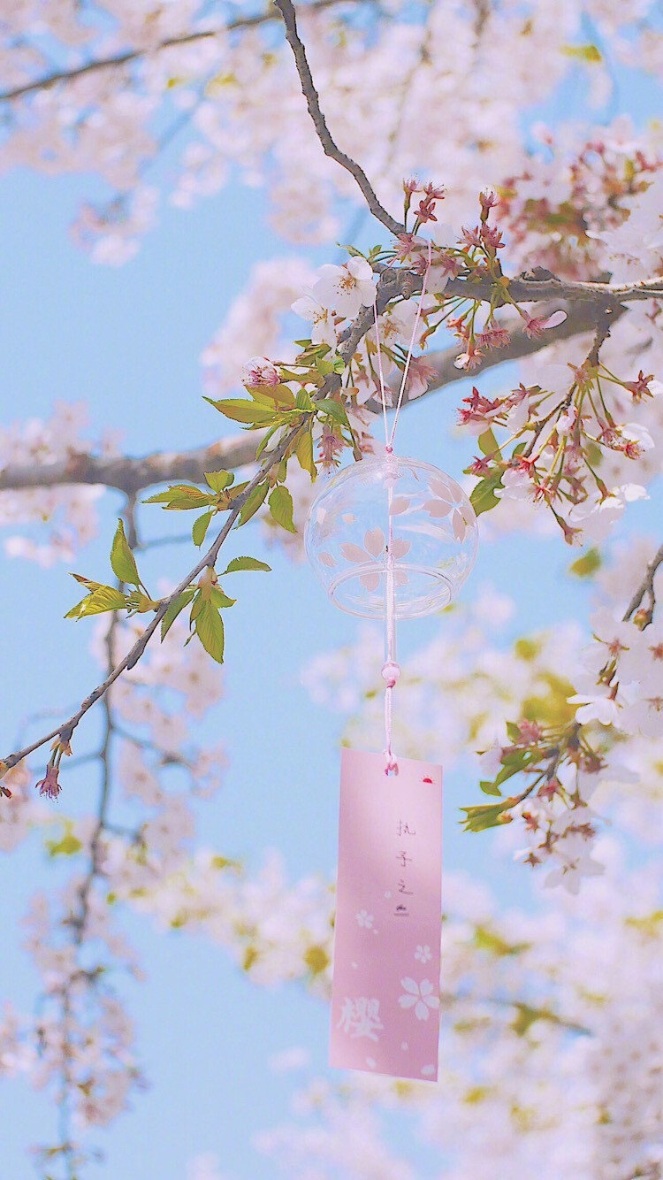 春有百花秋有月，夏有凉风冬有雪。若无闲事挂心头，便是人间好时节。——《无门关》 