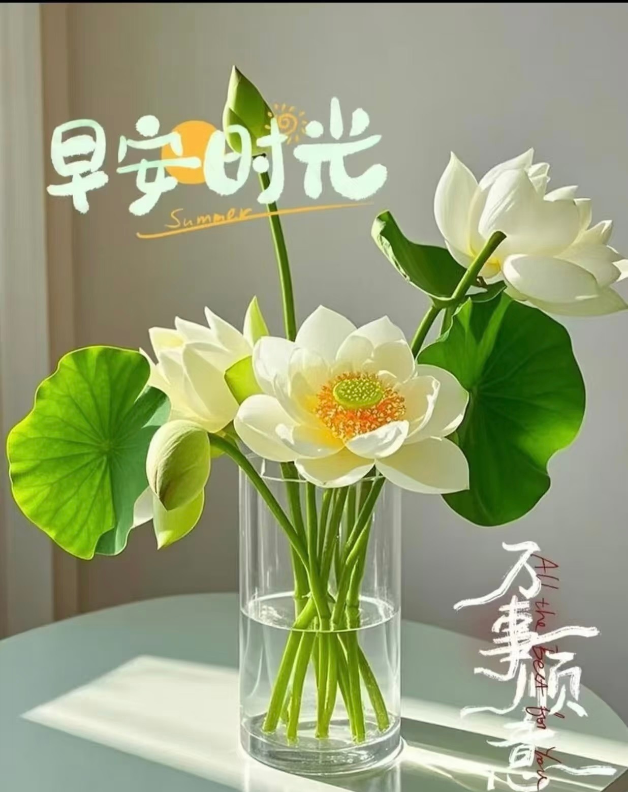 早上好，宝子们新的一天，新的希望，昨日市场反弹之后今日最好压一下节奏，这样对后面