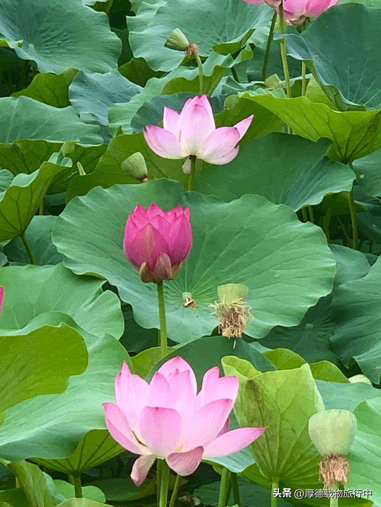 晒图笔记大赛