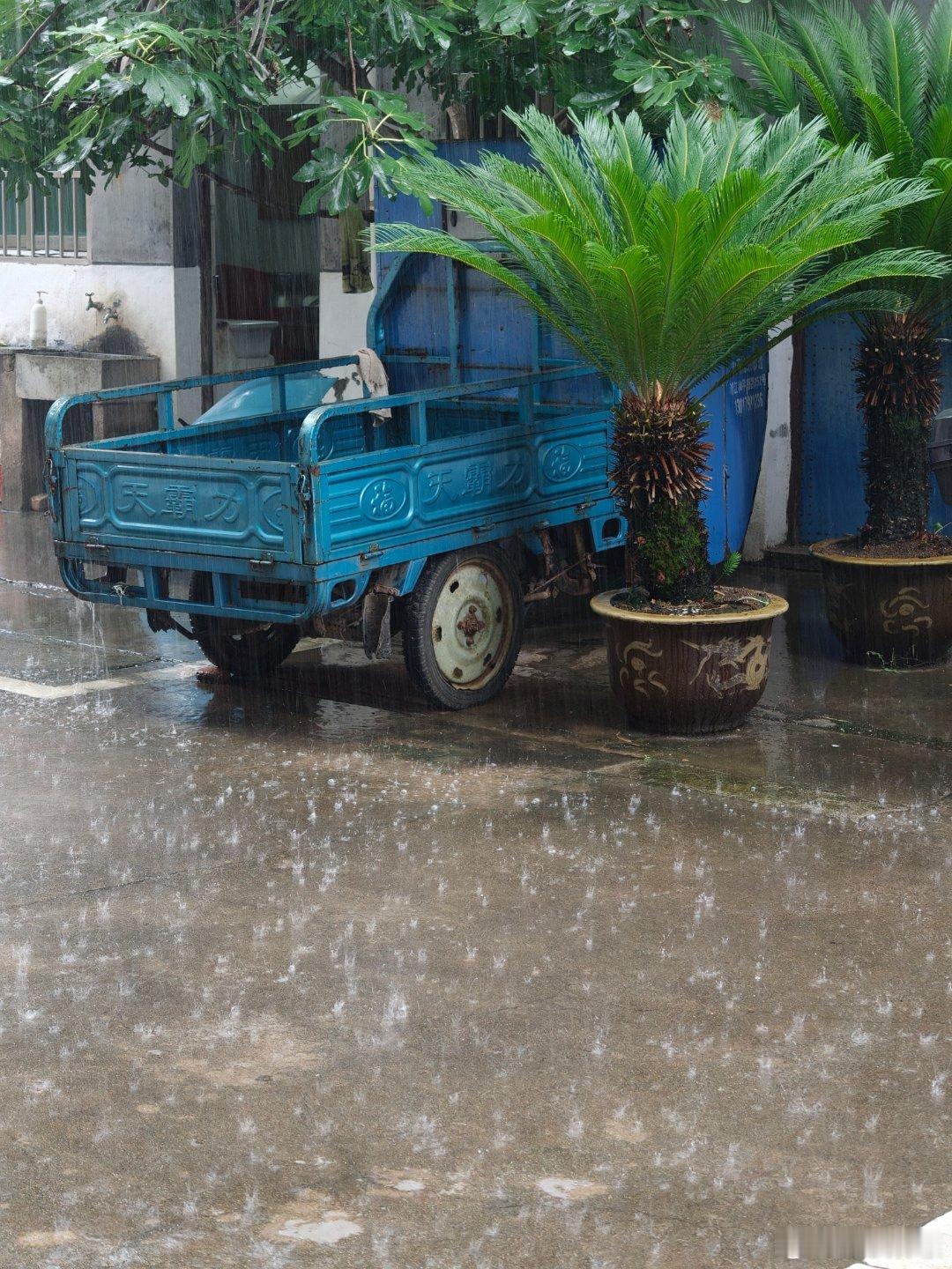 又下大雨🌧️ 