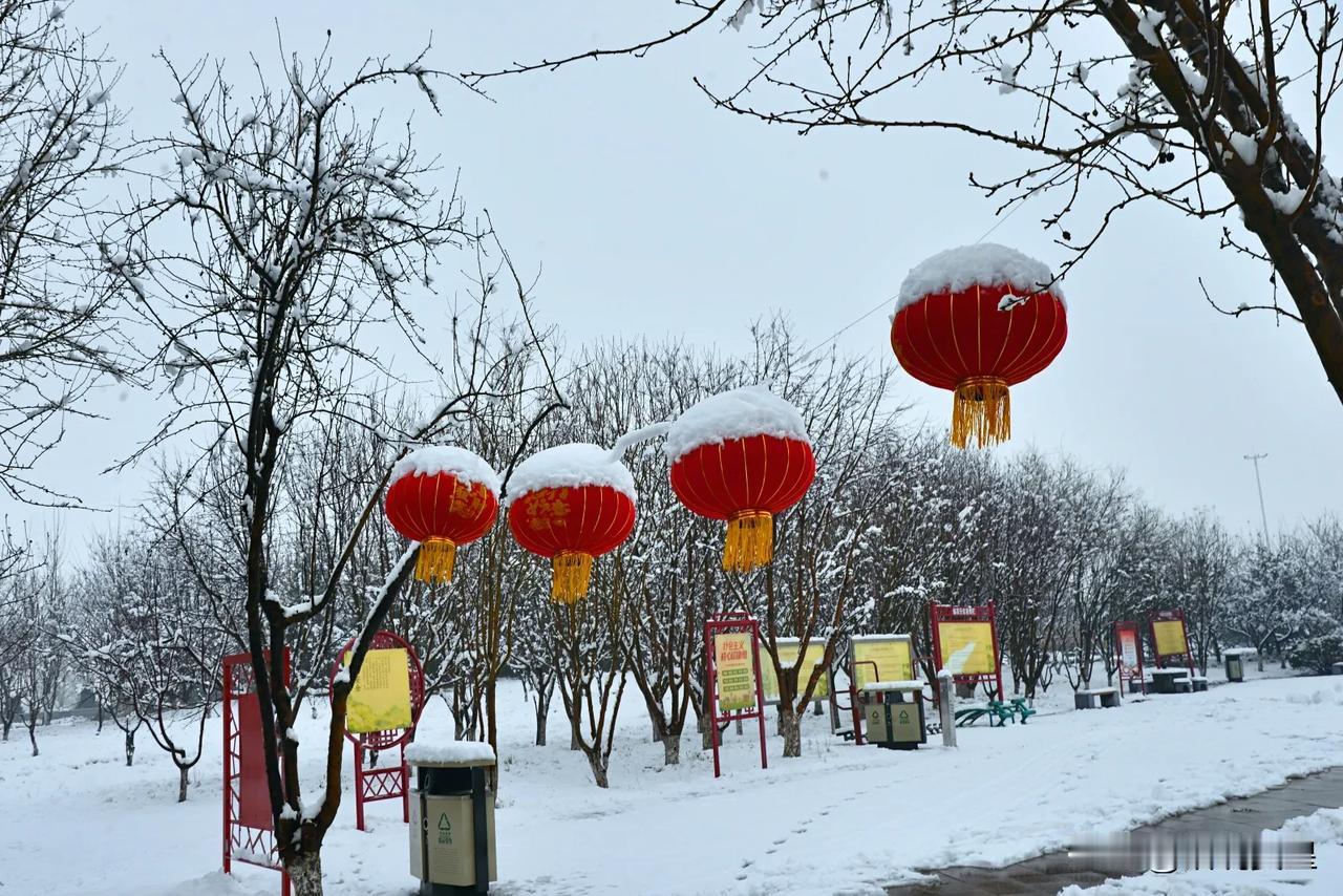 石家庄赞皇：元宵前夕春雪至，县城银装景如画‌
摄影：冯炳旭
元宵佳节前夕，一场春