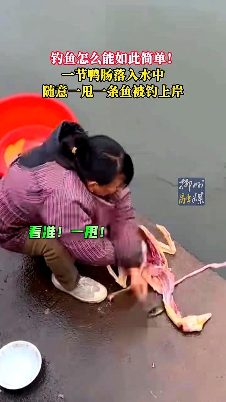 江南水乡一位大娘火了，这钓鱼方式真是绝了！

她就在河边台阶上收拾鸭子，把鸭肠扔