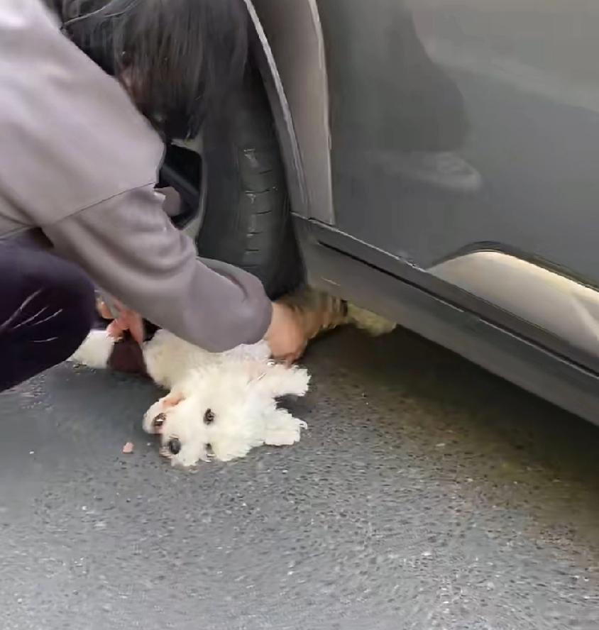 苏州某小区门口的一起车祸，听到女子大声哭喊，以为是压着人了。走近才知道压的是未牵