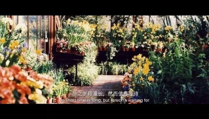 我会等，因为最好的东西，总是压轴出场。 