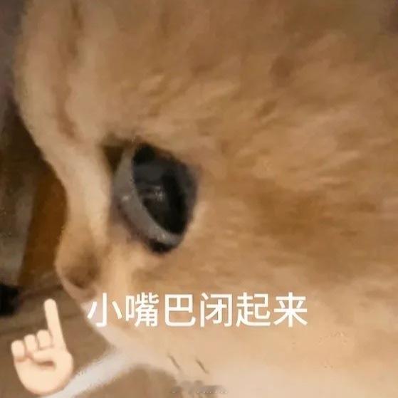 有人想把锅全部扣过来不可能哈我们别去发任何相关东西，这真不是闹着玩的，我们看看就
