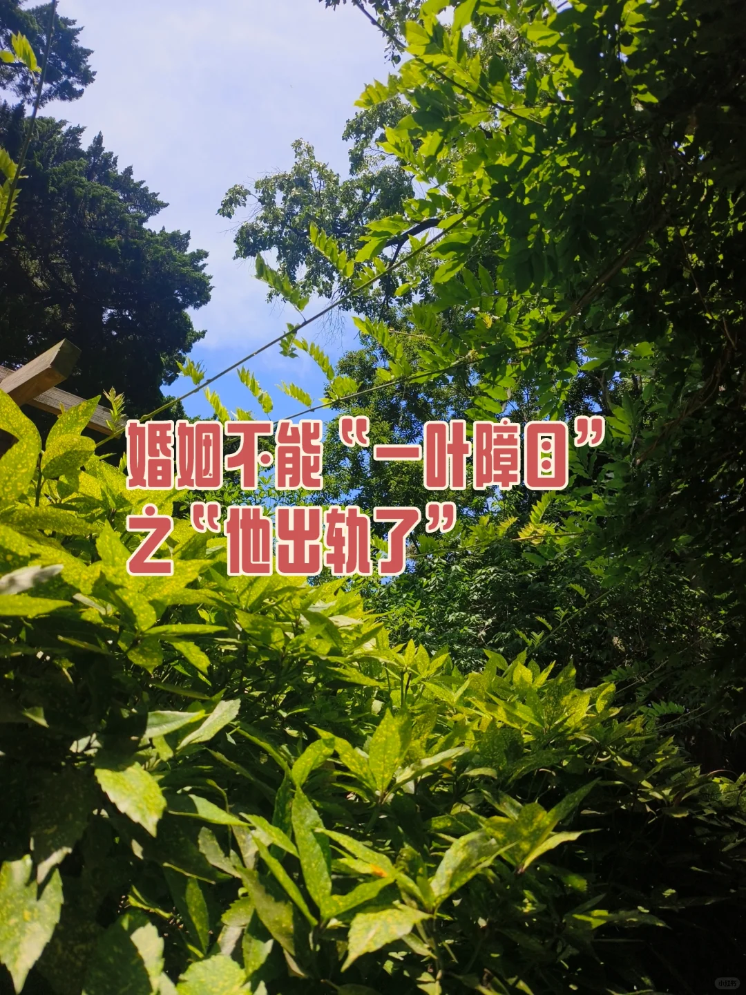 青岛离婚律师告诉你老公出轨该怎么办