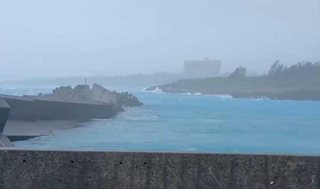 台风“巴威”一夜之间将乐清700多棵大树连根拔起，城市林荫道为何如此脆弱？
20