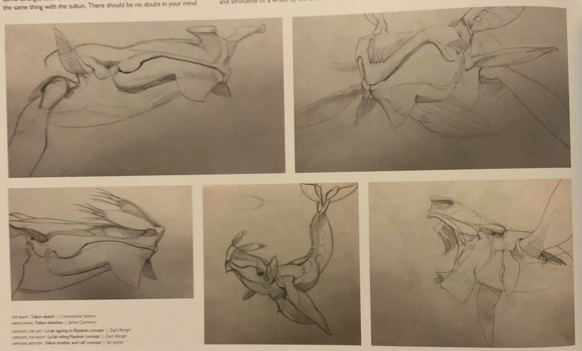 《阿凡达》系列中的图鲲，海洋的灵魂歌者每次现身的场景都相当壮阔而又充满诗意。在筹
