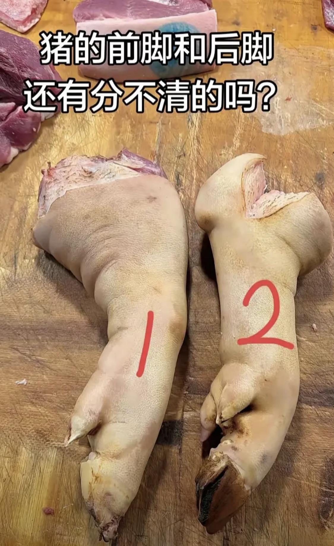 你能分得清猪的前脚和后脚吗？