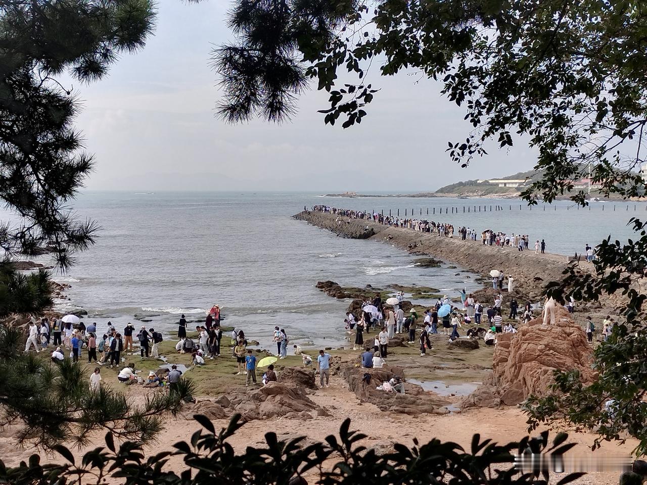 秋日生活打卡季长假第四天，青岛今天又下雨了！心疼游客三秒钟，好在昨天天晴了，我也